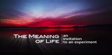 The Meaning Of Life Experiment