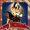 Wayang Golek Pusaka Jaya APK