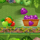 Fruit sort color sorting games APK