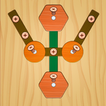 Nut & Bolt: Logic Puzzle Fun icono