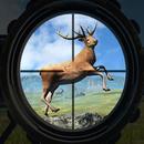 Animal Hunter Offline Games APK