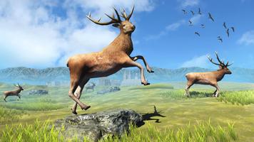 Animal Hunter Offline Games bài đăng