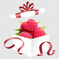 bBerryBox Online Shopping Store