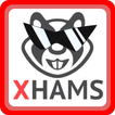 ”Xhamster Trivia