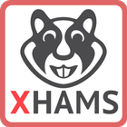 Xhamster Quiz icon