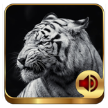 Animal Ringtones 200