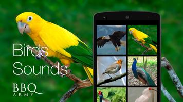Poster Birds Sounds