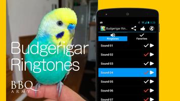 Budgerigar Ringtones poster