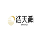 skyvasttrading simgesi