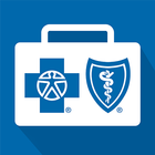 Icona My Health Toolkit® for BCBS