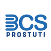 BCS Prostuti آئیکن