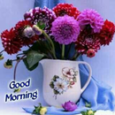 Everyday good morning wishes APK