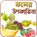 ফলের গুনাগুন uses of fruits be APK