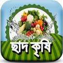 ছাদ কৃষি ~ chad krishi - ছাদে  APK