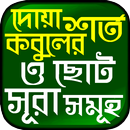 Small 26 Surah (২৬টি ছোট সূরা) APK
