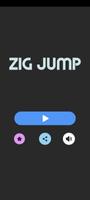 Zig Jump 2023 โปสเตอร์