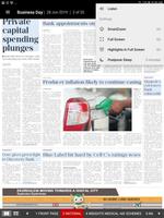 Business Day E-Edition screenshot 3