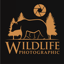 Wildlife Photographic Magazine APK