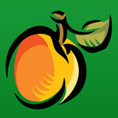 Peachy App APK