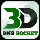DNS socket APK