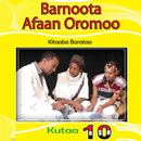 Afaan Oromoo Kutaa 10ffaa APK