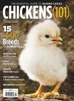 Chickens Magazine Affiche