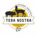 Tera Nostra APK