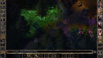 Baldur's Gate II captura de pantalla 1