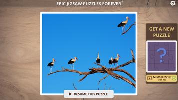 Epic Jigsaw Puzzles Forever™️ تصوير الشاشة 1