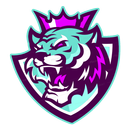 BEAST VPN - PRO APK