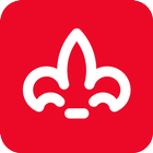 Palato icono