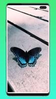 Butterfly Aesthetic Wallpaper screenshot 3