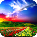 Beautiful Wallpaper HD APK