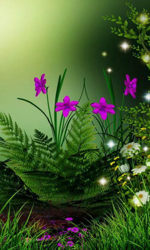Beautiful Screensavers