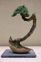 Beautiful Bonsai Design โปสเตอร์