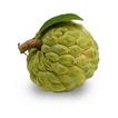 Benefit of Custard Apple icon