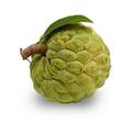 Benefit of Custard Apple