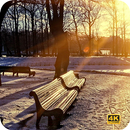 حديقة جميلة خلفية HD APK