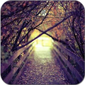 Beautiful Photography Tumblr