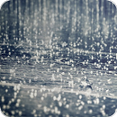 Beautiful Rain Wallpaper APK