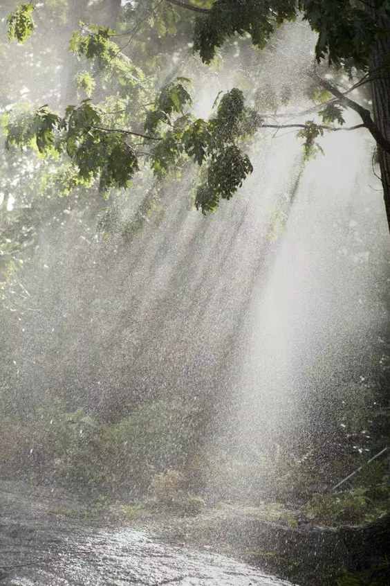 Beautiful Rain Wallpaper APK للاندرويد تنزيل Beautiful Rain Wallpaper APK للاندرويد تنزيل