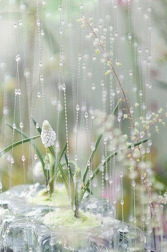 Beautiful Rain Wallpaper APK voor Android Download Beautiful Rain Wallpaper APK voor Android Download