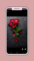 beautiful rose wallpaper capture d'écran 3