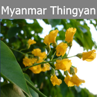 Myanmar Thingyan 아이콘