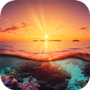 Beautiful Wallpaper 4K APK