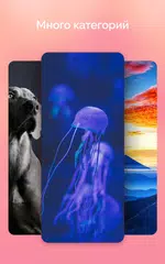 Скачать 4k Обои - Классные Обои - Beautify XAPK