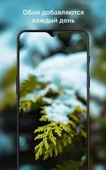 Скачать 4k Обои - Классные Обои - Beautify XAPK