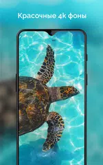 Скачать 4k Обои - Классные Обои - Beautify XAPK