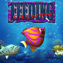 Fish Feeding Frenzy APK