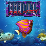 Fish Feeding Frenzy-APK